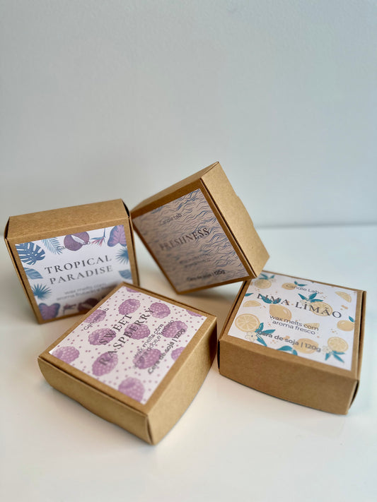 Wax melts verão